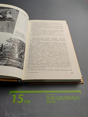 Виктор Васнецов