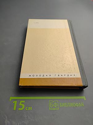 Виктор Васнецов