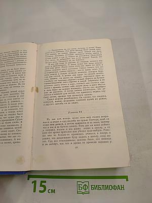 Собрание сочинений. Том Шестой: Приключения Гекльберри Финна, Янки из Коннектикута при дворе короля Артура