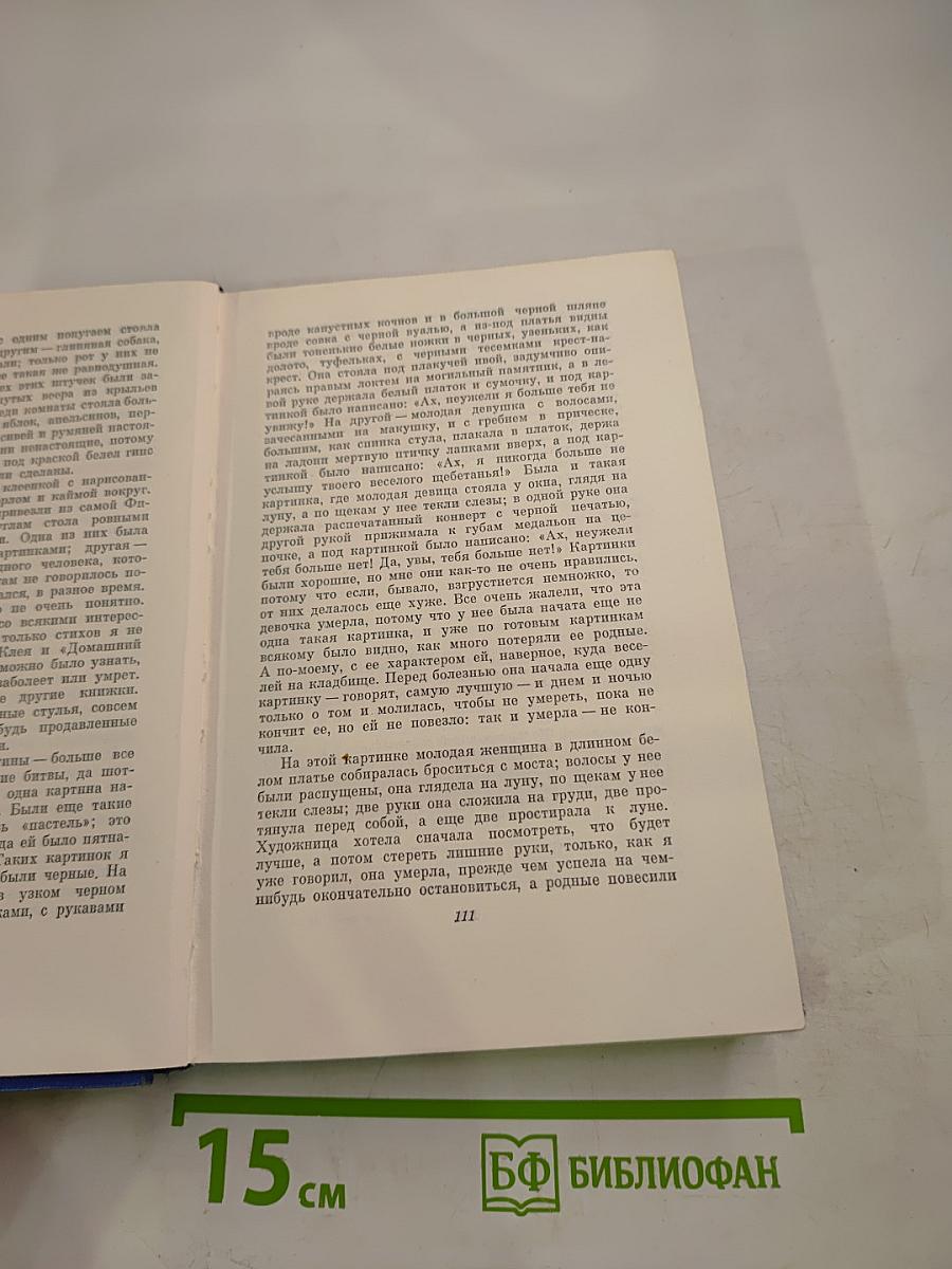 Собрание сочинений. Том Шестой: Приключения Гекльберри Финна, Янки из Коннектикута при дворе короля Артура