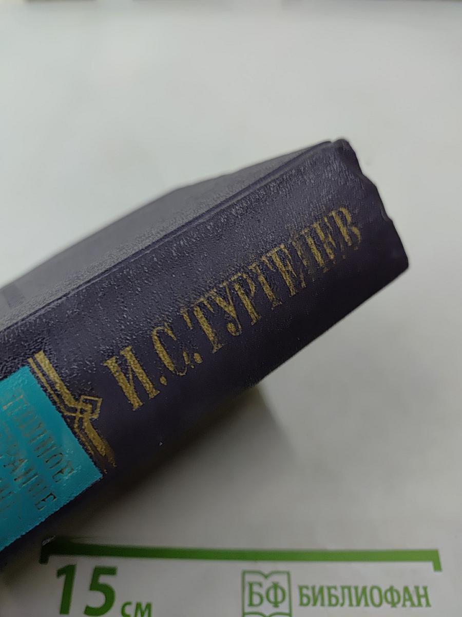 Сочинения. Том четвертый. Повести и рассказы, Статьи и рецензии 1844-1854