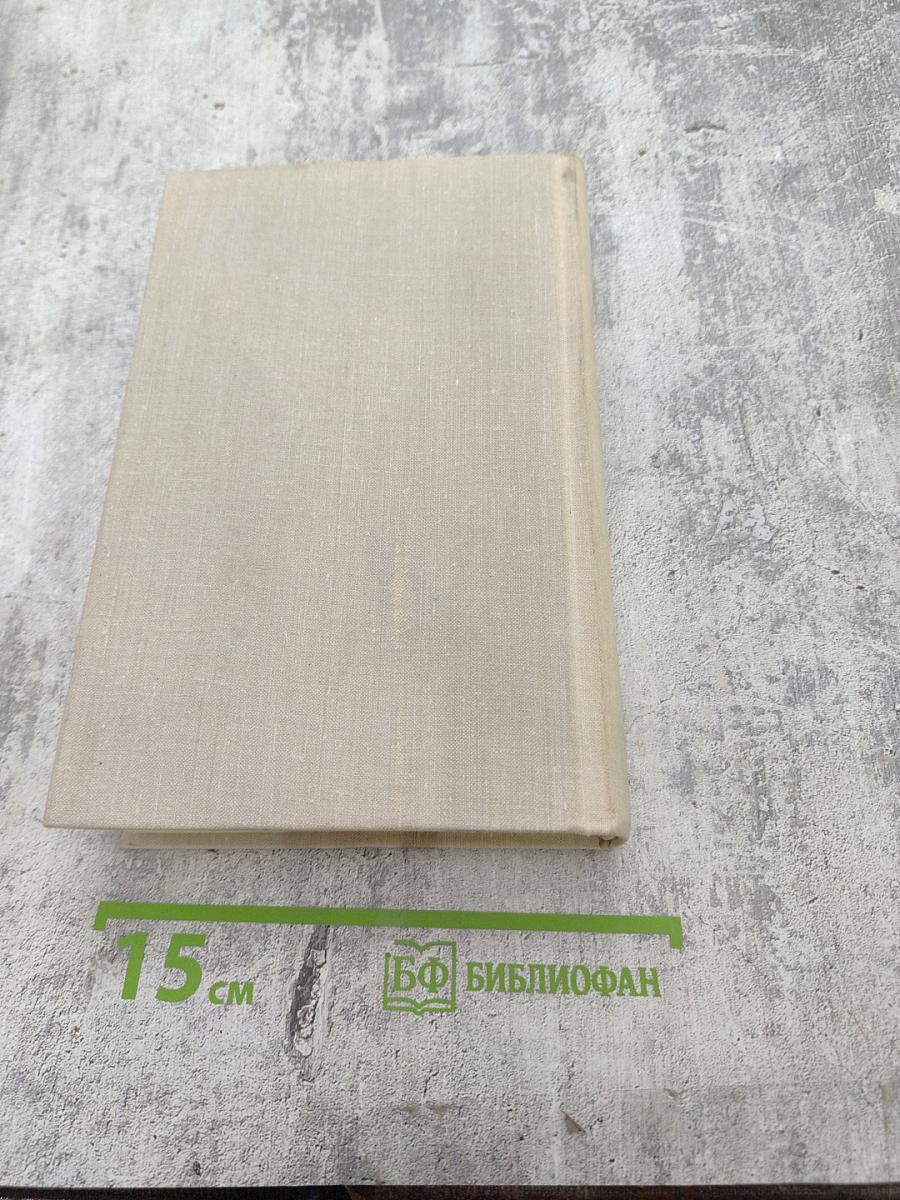 Разин Степан