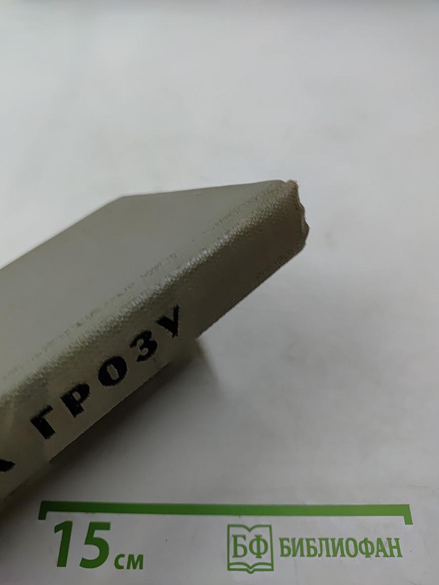 Иду на грозу