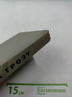 Иду на грозу