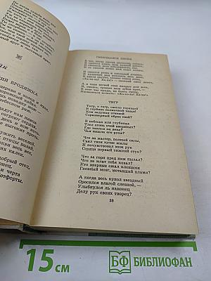 Западноевропейская лирика