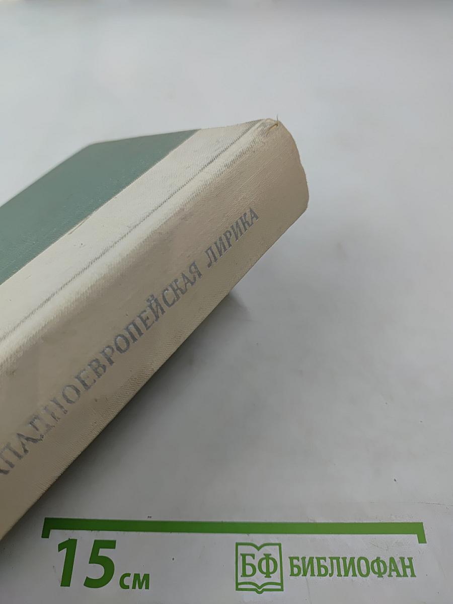 Западноевропейская лирика