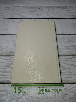 День поэзии 1981