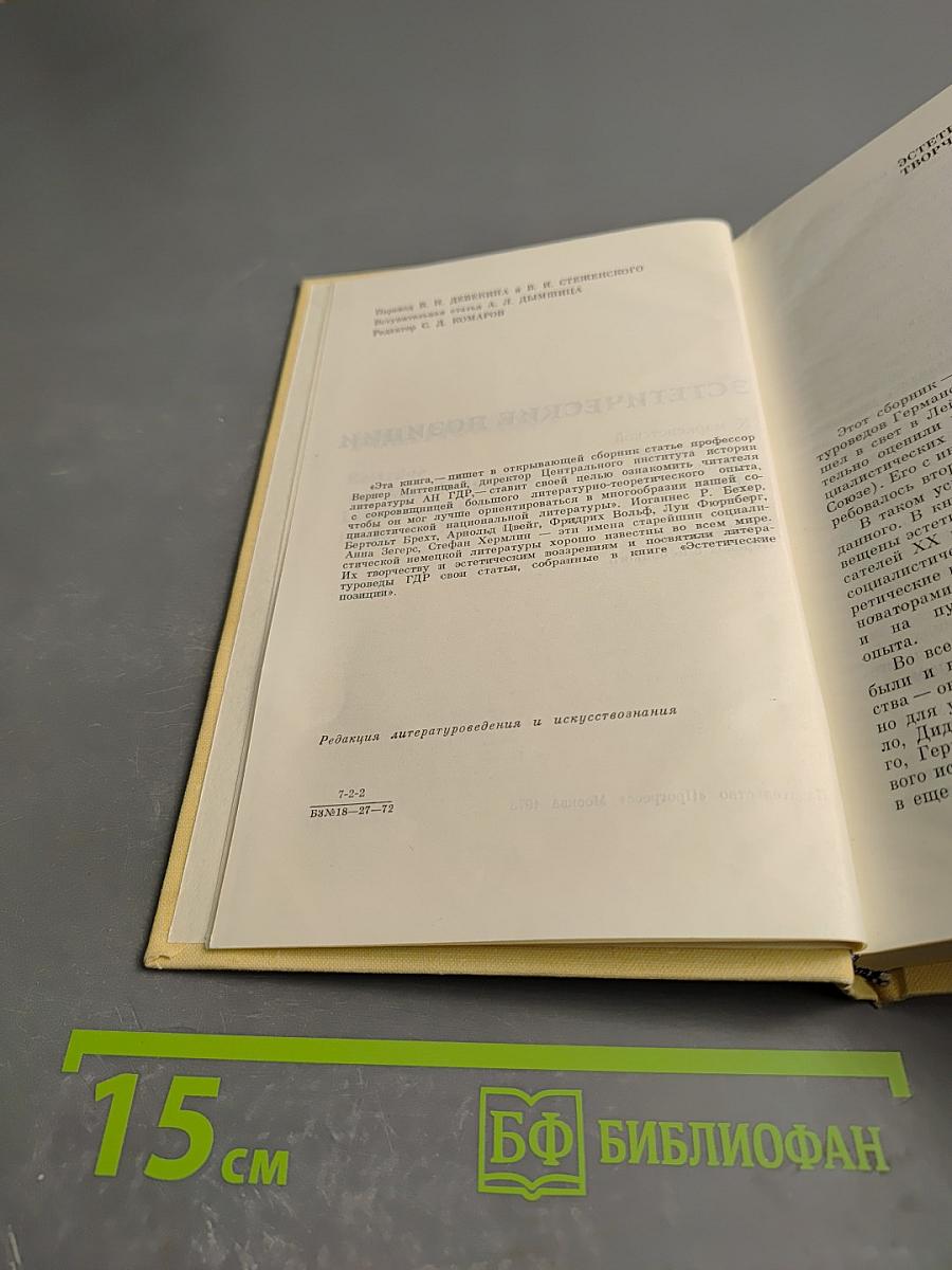 Эстетические позиции