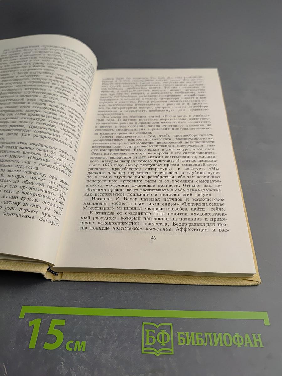 Эстетические позиции