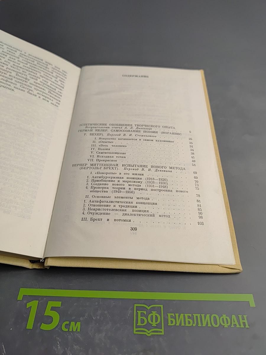 Эстетические позиции