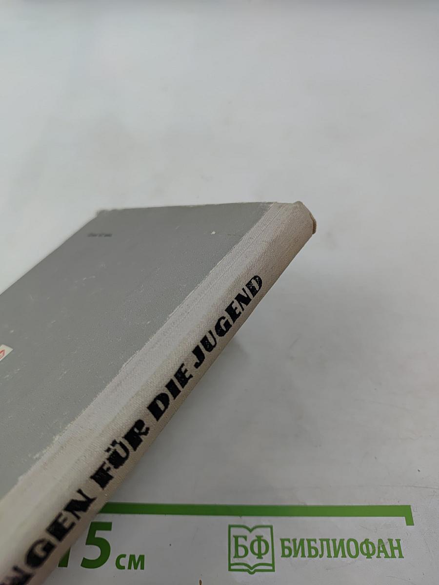 Erzählungen für die Jugend. Книга для чтения на немецком языке для учащихся старших классов