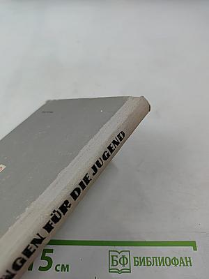 Erzählungen für die Jugend. Книга для чтения на немецком языке для учащихся старших классов