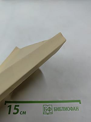 Русский язык как иностранный и методика его преподавания: Выпуск 16. Сборник материалов XXXIII Международной филологической конференции