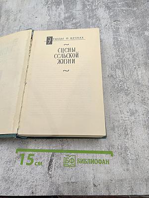 Человеческая комедия. Том 18: Этюды о нравах. Сцены сельской жизни