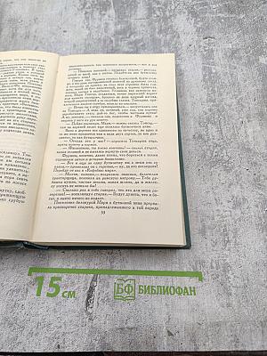 Человеческая комедия. Том 18: Этюды о нравах. Сцены сельской жизни