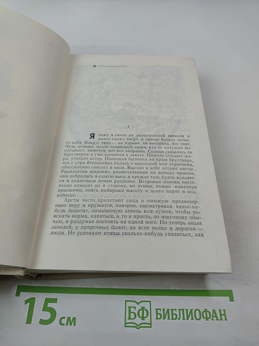 Дожить до рассвета