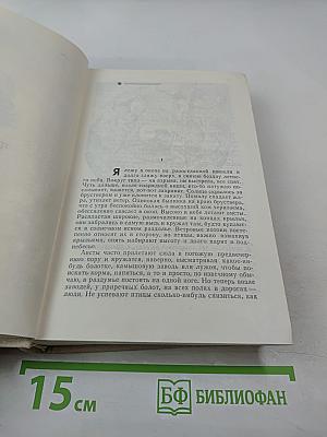 Дожить до рассвета