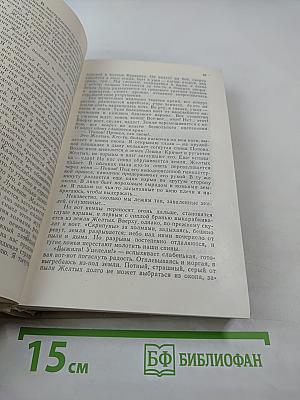 Дожить до рассвета