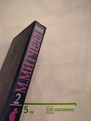 Унесенные ветром. Том 2