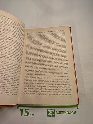 Моя семья и другие звери. Путь кенгуренка