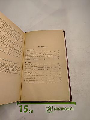 Пьесы А.Н. Островского и А.П. Чехова (для 9-го класса)