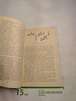 Яблоневый сад