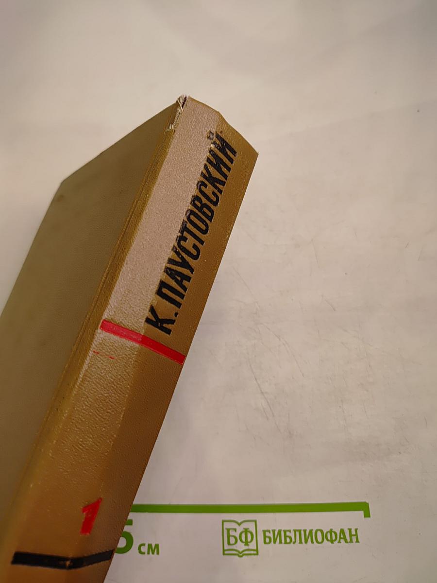 Собрание сочинений. Том первый. Романы и повести