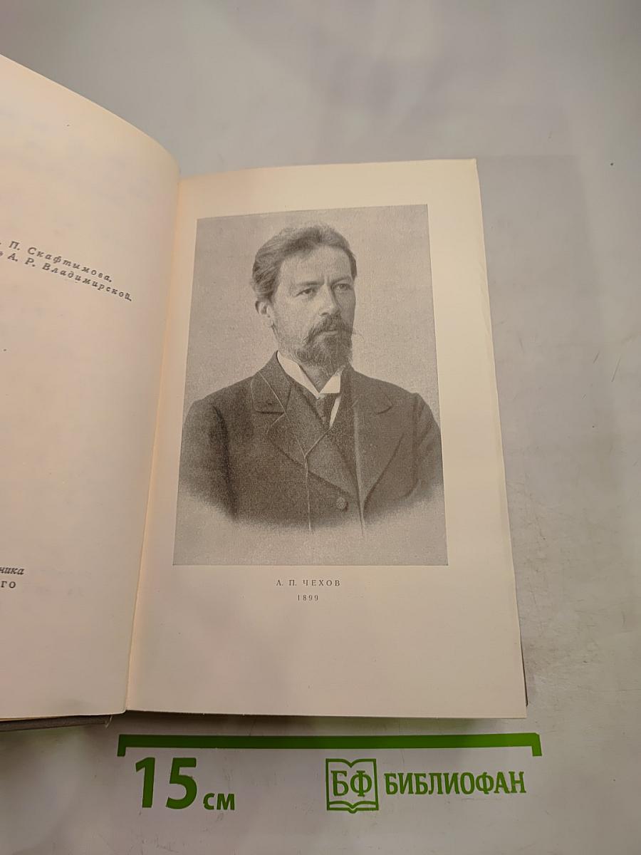 Собрание сочинений. Том девятый: Пьесы 1880-1904