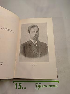 Собрание сочинений. Том девятый: Пьесы 1880-1904
