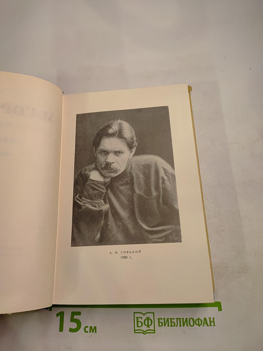 Собрание сочинений. Том 23. Статьи 1895–1906