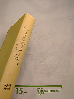 Собрание сочинений. Том 23. Статьи 1895–1906