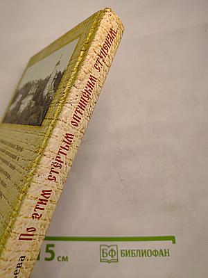 По этим стёртым оптинским ступеням...