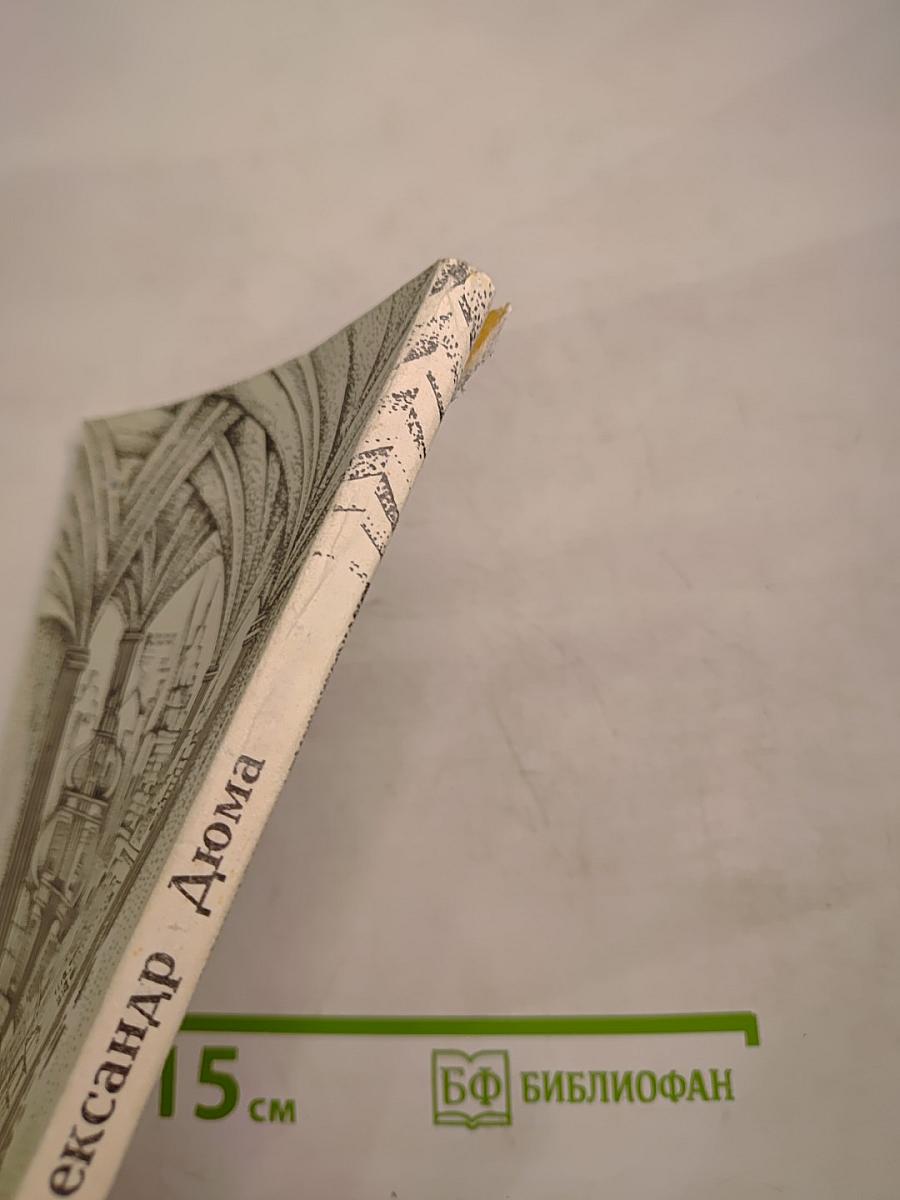 Черный тюльпан