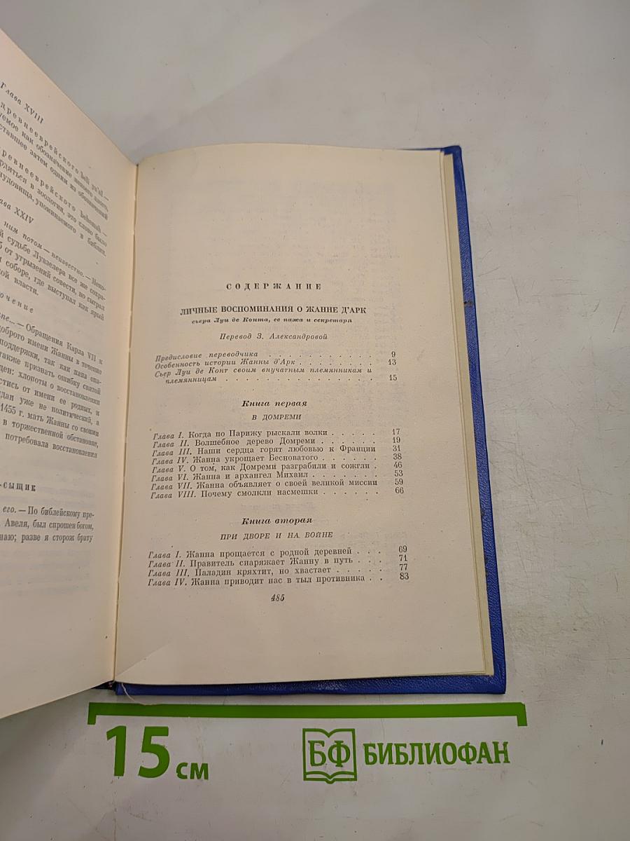Собрание сочинений. Том восьмой: Личные воспоминания о Жанне д'Арк, Том Сойер - сыщик