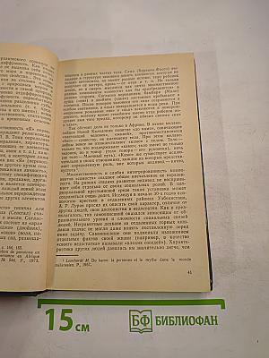 В поисках себя. Личность и ее самосознание