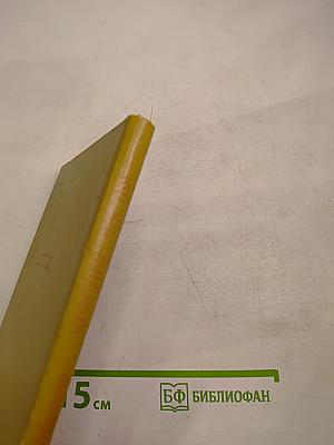 Красные листья