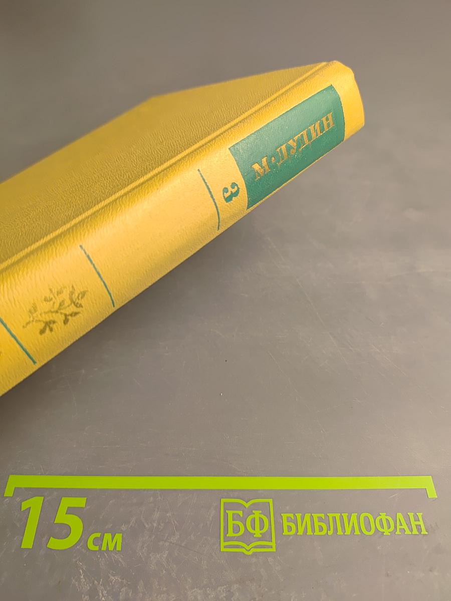 Собрание сочинений. Том 3: Переводы. Где наша не пропадала. Повесть. Рассказы