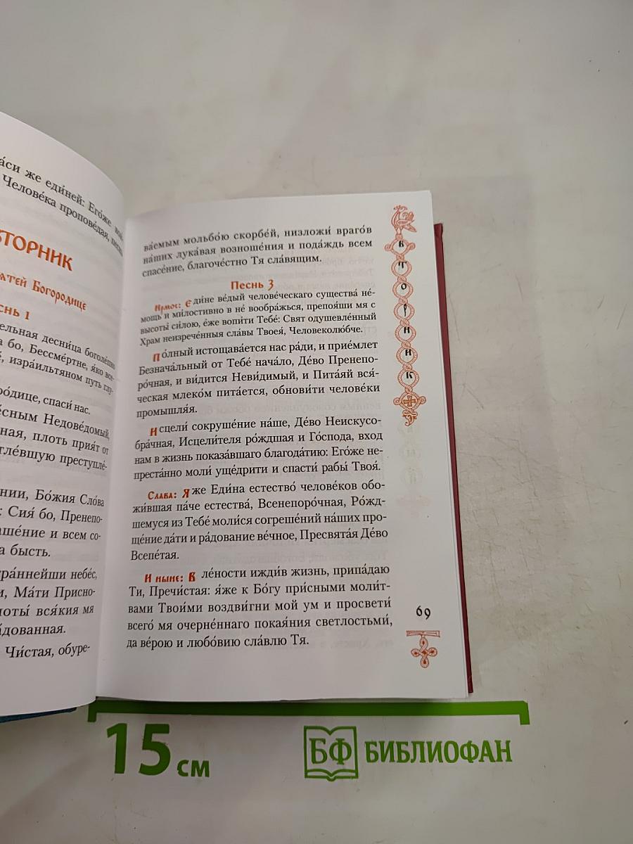 Богородичник. Каноны Божией Матери на каждый день