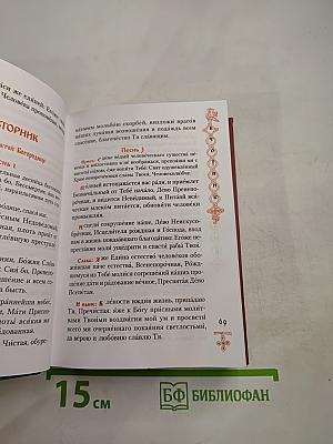Богородичник. Каноны Божией Матери на каждый день