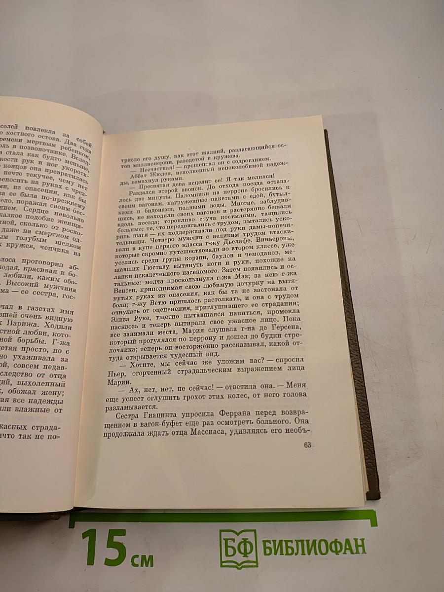 Лурд (Собрание сочинений. Том семнадцатый)