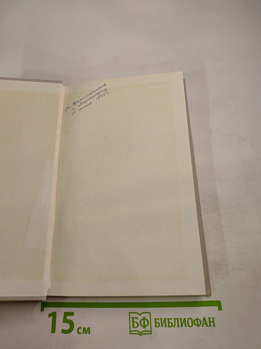 Брянские зоряки