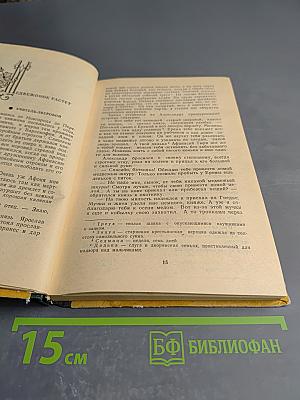 Юность полководца