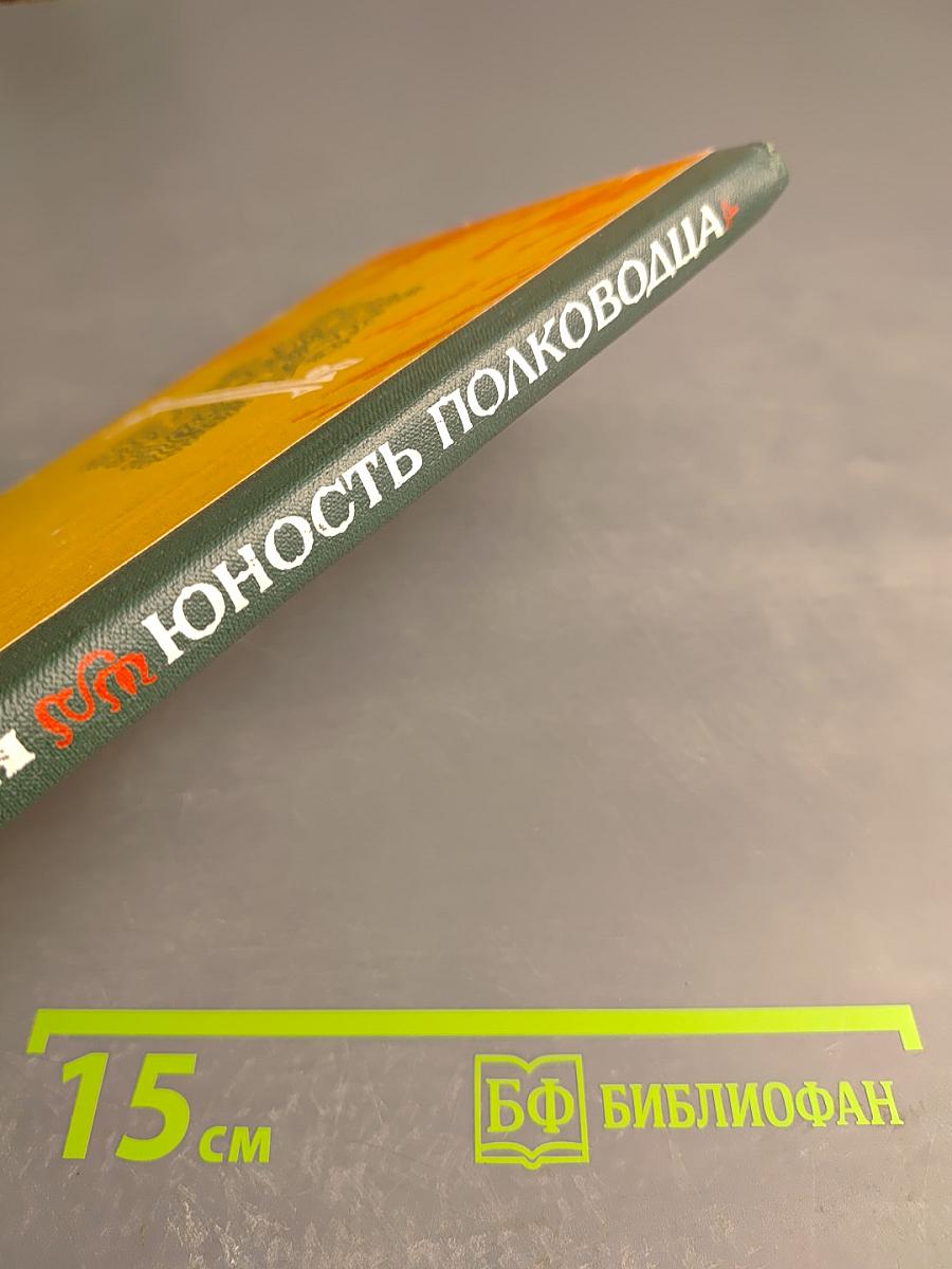 Юность полководца