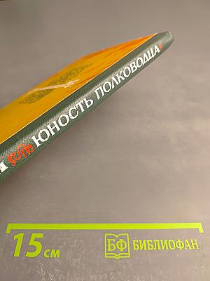 Юность полководца