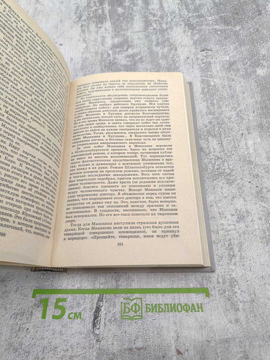 Собрание сочинений. Том 5. История моего современника. Книги третья и четвертая