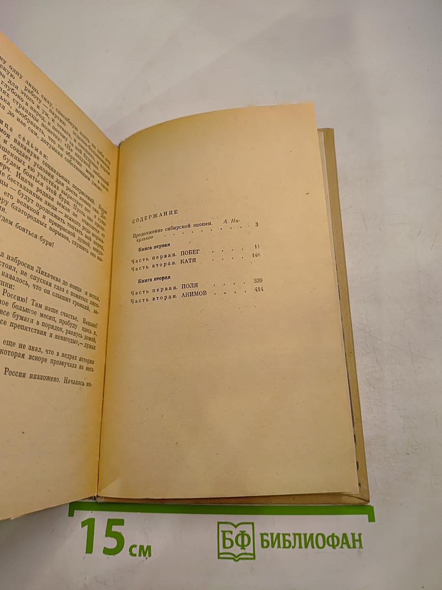 Сибирь. Роман в двух книгах