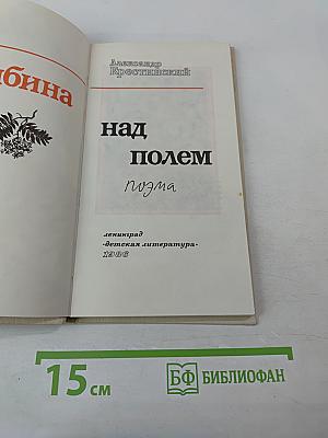 Рябина над полем