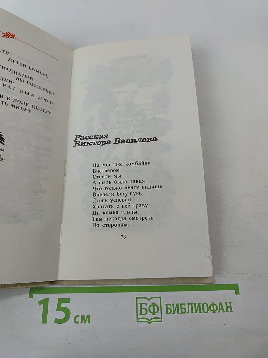 Рябина над полем