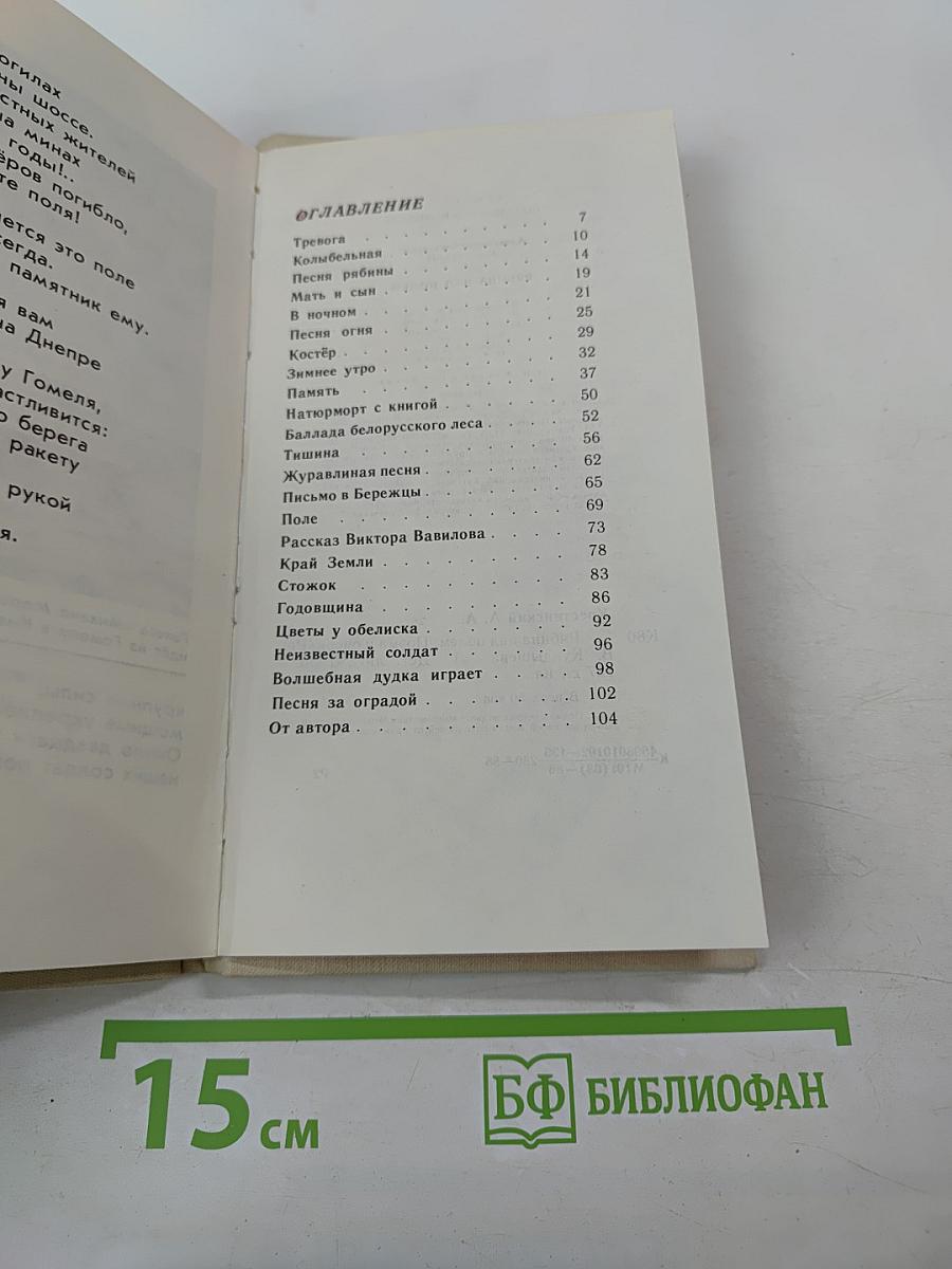 Рябина над полем