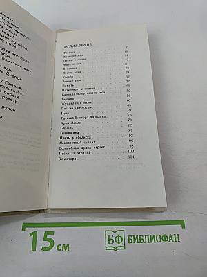 Рябина над полем